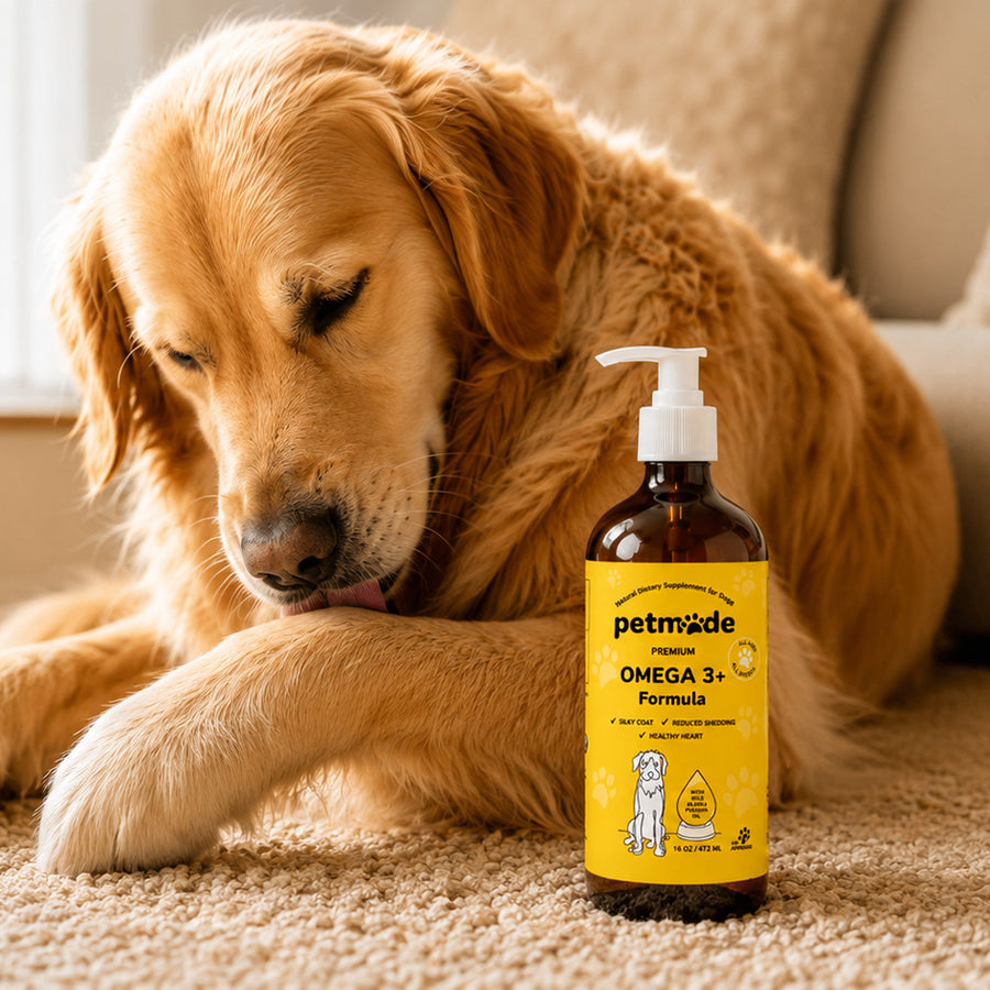 Dog with product