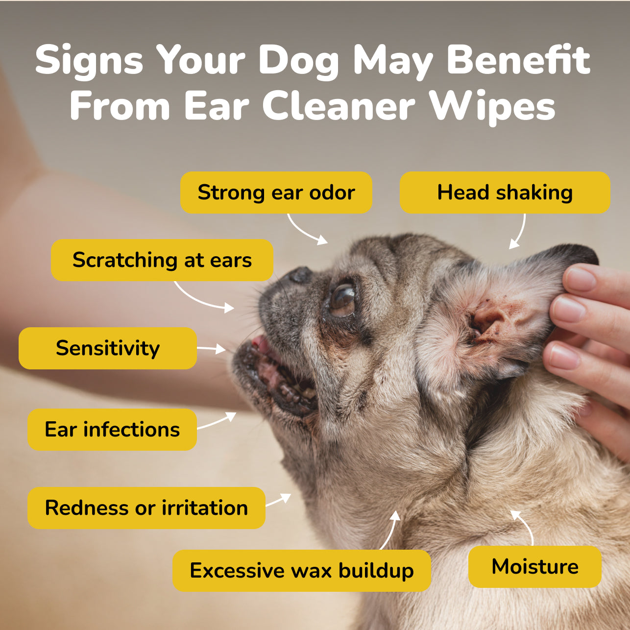 Dog Ear Cleaner Wipes