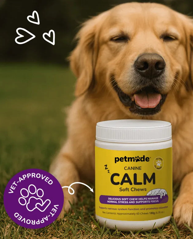 Dog with product